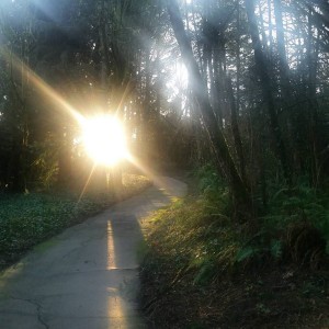 parrish priest light on road in lake oswego